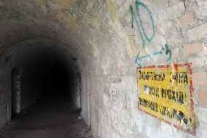 Таркановский форт